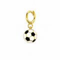 World Cup Charm
